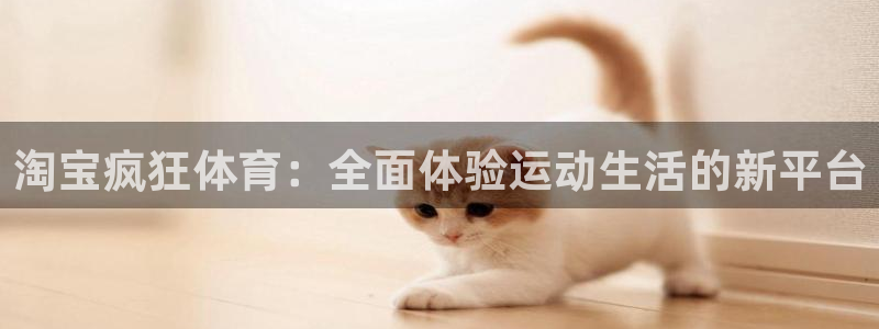 淘宝疯狂体育：全面体验运动生活的新平台