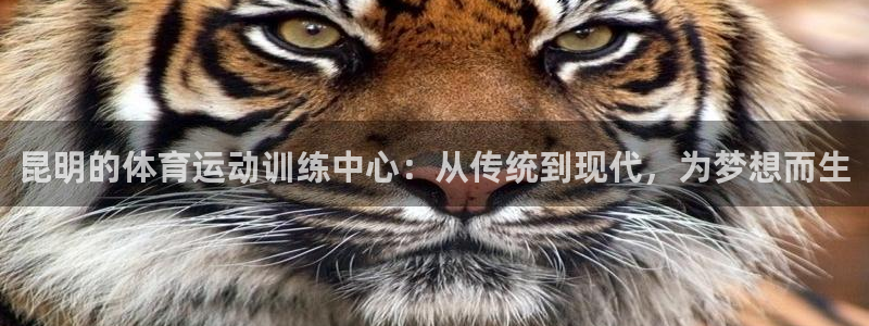 昆明的体育运动训练中心：从传统到现代，为梦想而生