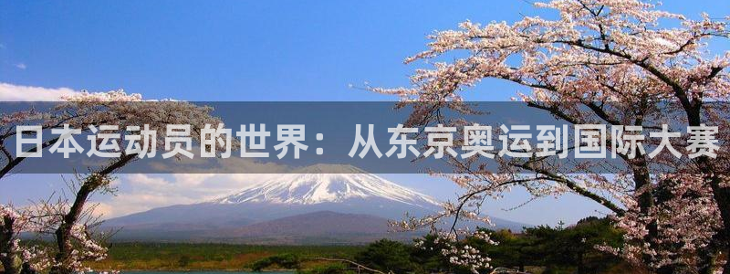 日本运动员的世界：从东京奥运到国际大赛
