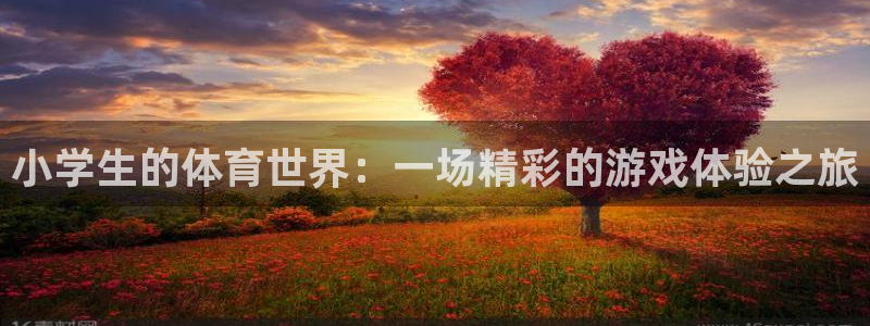 小学生的体育世界：一场精彩的游戏体验之旅