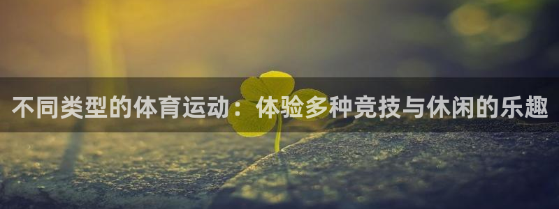 不同类型的体育运动：体验多种竞技与休闲的乐趣