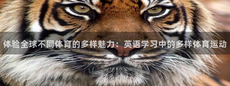 体验全球不同体育的多样魅力：英语学习中的多样体育运动