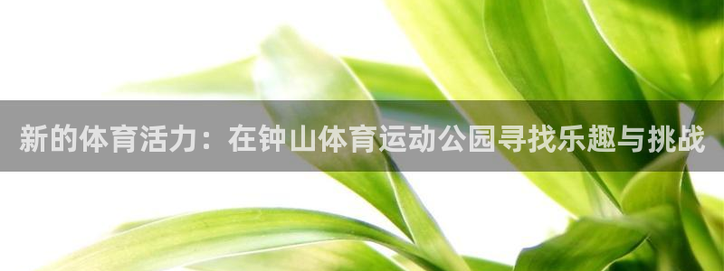 新的体育活力：在钟山体育运动公园寻找乐趣与挑战